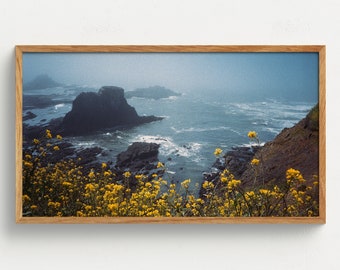 Samsung Frame TV Art Coastal Wildflowers Digital Download Foggy Oregon Coast Wall Art Pacific Northwest Decor Film Photography PNW Landscape