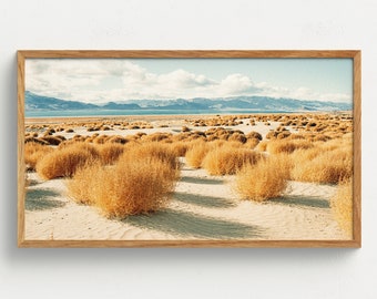 Samsung Frame TV Art Southwest Tumbleweed Digital Download Desert Landscape Western Decor Southwest Wall Art American West Photography