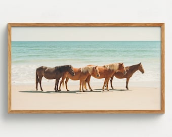 Samsung Frame TV Art Horse and Ocean Digital Download Wild Beach Horses Photography 35mm Film Photography North Carolina Coastal Wall Art