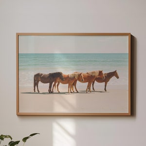 Wild Beach Horses - Horse and Ocean Photo, Horse Beach Print, Horse Photography, 35mm Film Photography, North Carolina Wall Art