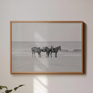 Black and White Horse Wall Art Photography Print, Coastal Ocean Beach Wild Horse Film Photography, Equine Equestrian Art Print Decor Gift