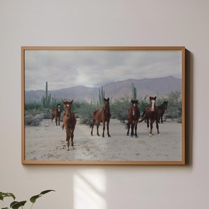 Pferd Fotografie Druck Wüste Wilde Pferde Kaktus Western Dekor Wüste Fotografie Western Boho-Druck Western Poster Americana Wand Kunst