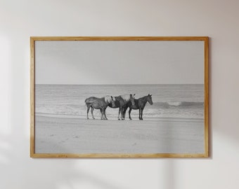 Black and White Horse Wall Art Photography Print, Coastal Ocean Beach Wild Horse Film Photography, Equine Equestrian Art Print Decor Gift
