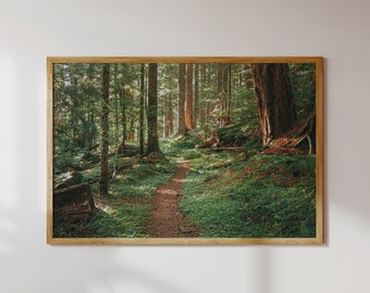 Pacific Northwest Forest Print, Enchanted Forest Cottagecore Wall Art, Washington Nature Photography, PNW Home Decor, Film Woods Poster