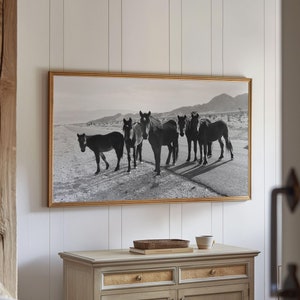 Samsung Frame TV Art Desert Road Horses Digital Download Horse Photography Western Decor Black and White Photography Southwest Wall Art