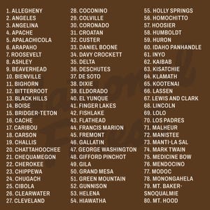 May include: A brown graphic print featuring a numbered list of eighty United States National Forests, starting with Allegheny and ending with Mt. Hood, displayed in three vertical columns with white sans-serif text on a solid brown background.