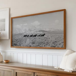 Puede incluir: Una fotograf&iacute;a en blanco y negro de una manada de caballos corriendo a trav&eacute;s de un campo de hierba. Los caballos est&aacute;n en l&iacute;nea, con la cabeza baja y las colas flotando detr&aacute;s de ellos. El campo est&aacute; cubierto de hierba alta y hay monta&ntilde;as en el fondo.