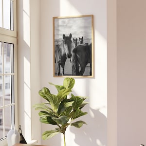 Desert Horses Print - Horse Photography, Western Decor, Black and White ...