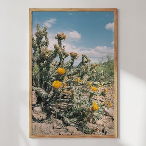 Western Wall Art Desert Flower Art Cactus Flower Print Western Home Decor Arizona Desert Photography Spring Wildflower Buckhorn Cholla image 1