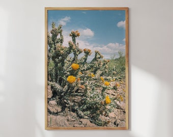 Western Wall Art Desert Flower Art Cactus Flower Print Western Home Decor Arizona Desert Photography Spring Wildflower Buckhorn Cholla