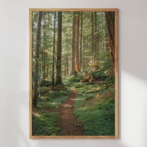 Pacific Northwest Wall Art, Cottagecore Enchanted Forest Print, Washington Nature Photography, PNW Home Decor, Film Wall Art, Woods Poster
