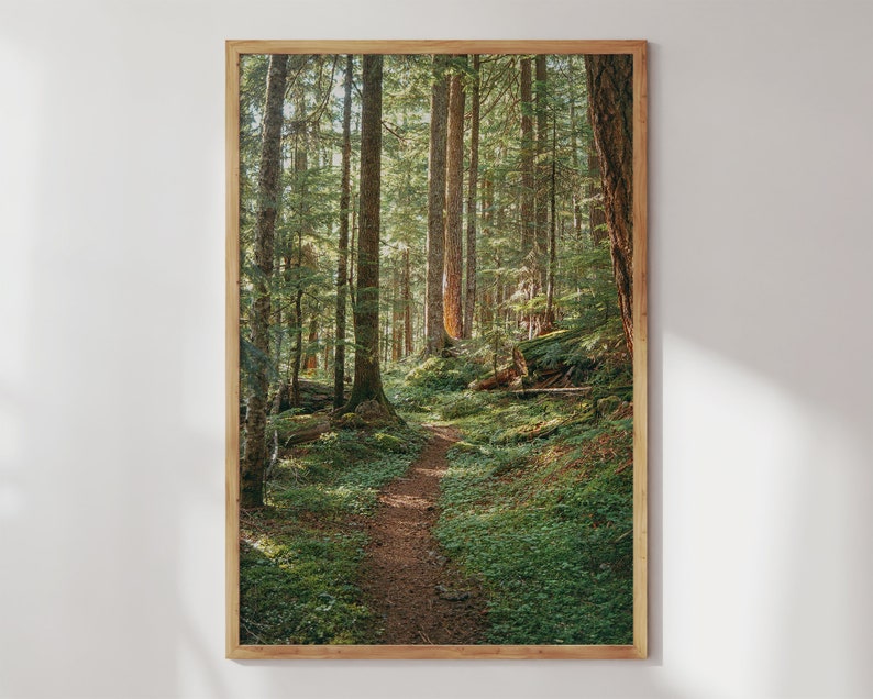 Pacific Northwest Wall Art Cottagecore Enchanted Forest - Etsy