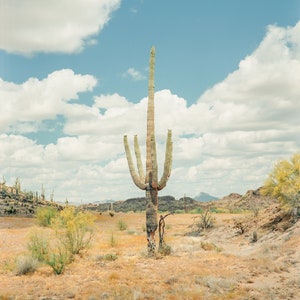Southwestern Landscape Photography Mountain Nature Scene Arizona Desert Wall Art Saguaro Cactus Print Giclee Fine Art Print Home Office Wall Hanging Cold Press Textured Matte Paper Premium Quality Western Theme Display Interior Design