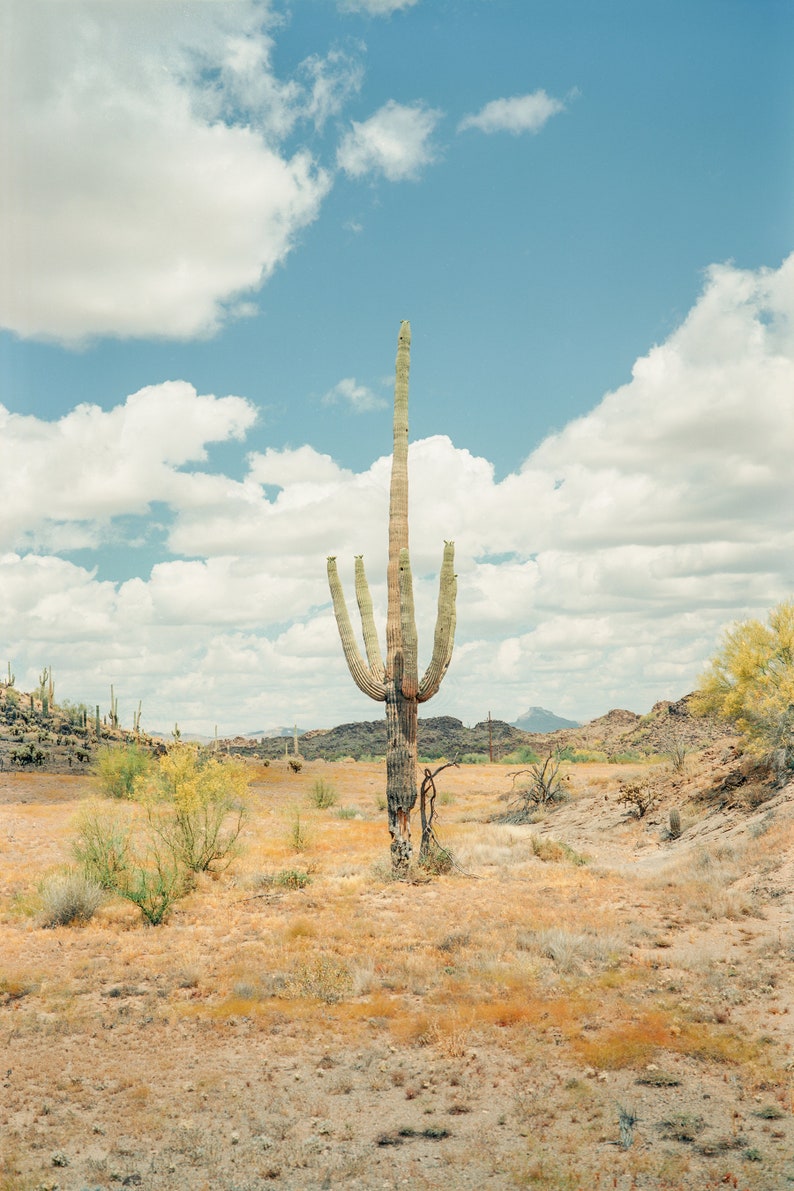 Southwestern Landscape Photography Mountain Nature Scene Arizona Desert Wall Art Saguaro Cactus Print Giclee Fine Art Print Home Office Wall Hanging Cold Press Textured Matte Paper Premium Quality Western Theme Display Interior Design