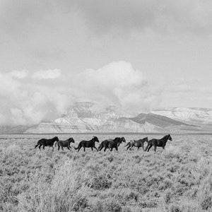 Framed Horse Photography Black White Panoramic Print Nature Wall Art Horizontal Picture Running Plains Mountain Scene Perfect Bedroom Living Room Western Home Office Gift Ranch Farmhouse Large Animal Display Premium Quality Wood Frame