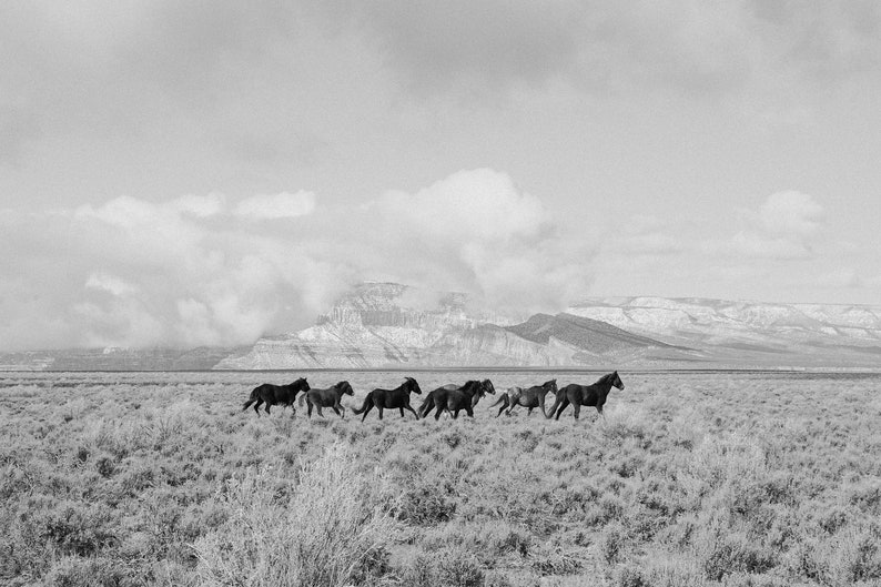 Framed Horse Photography Black White Panoramic Print Nature Wall Art Horizontal Picture Running Plains Mountain Scene Perfect Bedroom Living Room Western Home Office Gift Ranch Farmhouse Large Animal Display Premium Quality Wood Frame