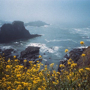 Coastal Home Office Gift Nature Enthusiast Seascape Picture Misty Water Scene Rocky Formation Oregon Coast Print Framed Photography Wall Art Ocean Landscape Beach House Living Room Nautical Design Yellow Wildflowers Foggy Atmosphere Blue