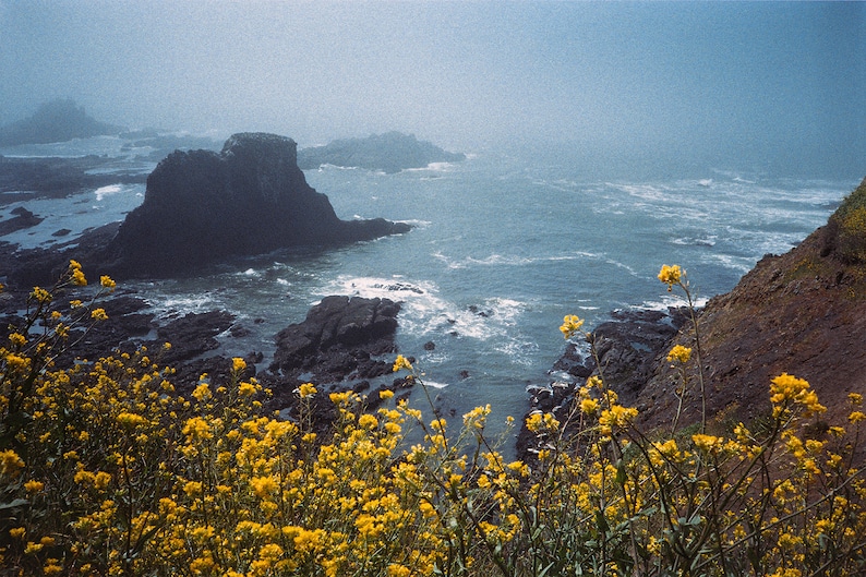 Coastal Home Office Gift Nature Enthusiast Seascape Picture Misty Water Scene Rocky Formation Oregon Coast Print Framed Photography Wall Art Ocean Landscape Beach House Living Room Nautical Design Yellow Wildflowers Foggy Atmosphere Blue