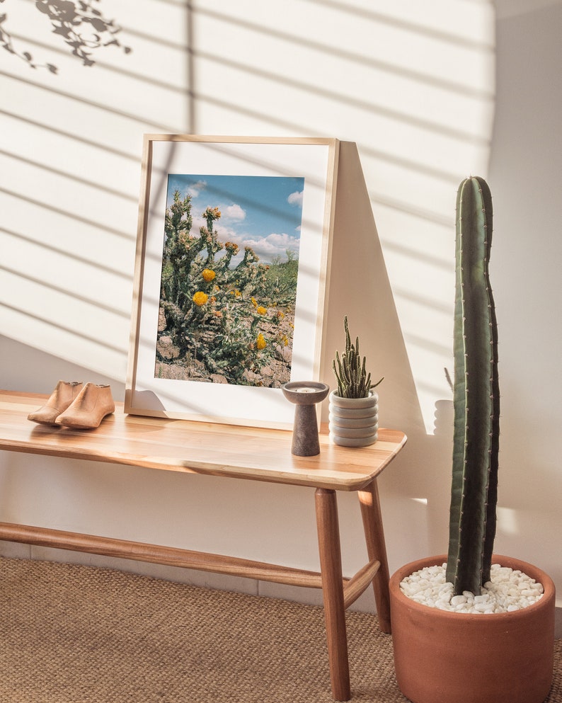 Western Wall Art Desert Flower Art Cactus Flower Print Western Home Decor Arizona Desert Photography Spring Wildflower Buckhorn Cholla image 6