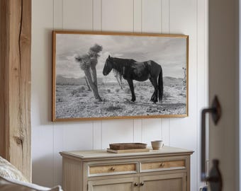 Samsung Frame TV Art Desert Horse Digital Download Western Home Decor Wall Art Black And White Southwest Art Western 35mm Film Photography