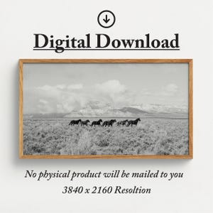 Puede incluir: Una fotograf&iacute;a en blanco y negro de una manada de caballos corriendo a trav&eacute;s de un campo de hierba. Los caballos corren en l&iacute;nea, con el caballo l&iacute;der en el centro de la imagen. El fondo es una cordillera con picos cubiertos de nieve. La imagen est&aacute; enmarcada en un marco de madera.
