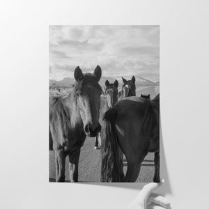 Desert Horses Print - Horse Photography, Western Decor, Black and White ...