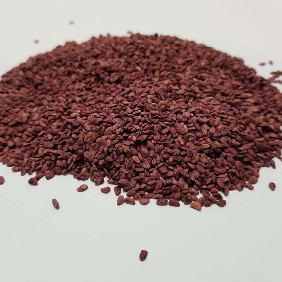 Blackberry Seeds Etsy