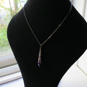 Pu&ograve; includere: Una collana con catena d'argento con un ciondolo a forma di cristallo viola lungo e appuntito.