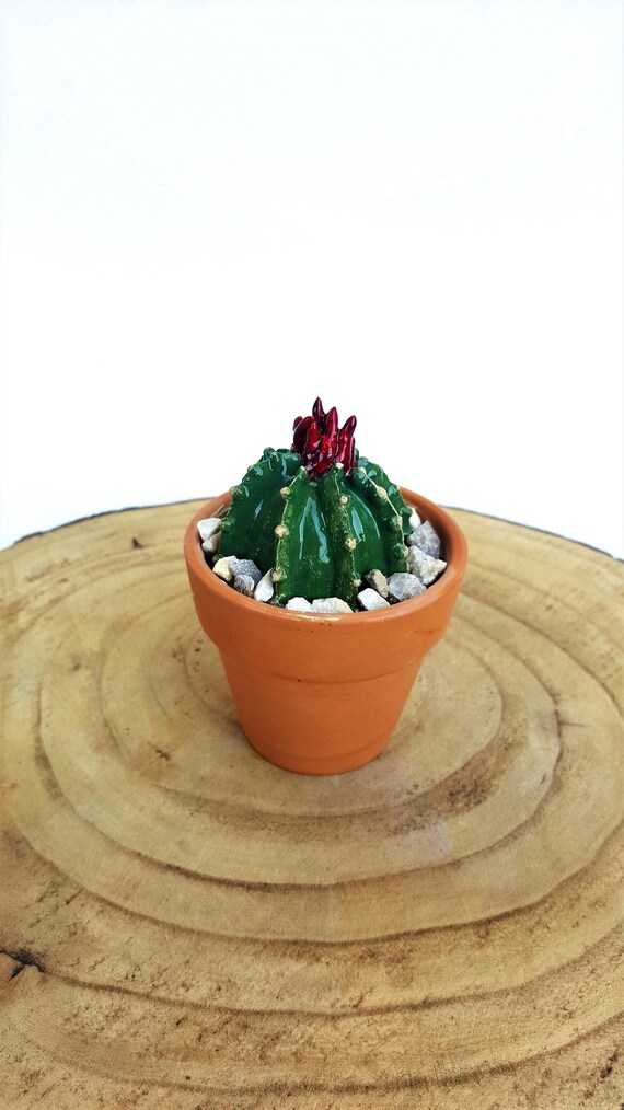 Ceramic Cactus Decoration Ceramic Cactus In Plant Pot Etsy