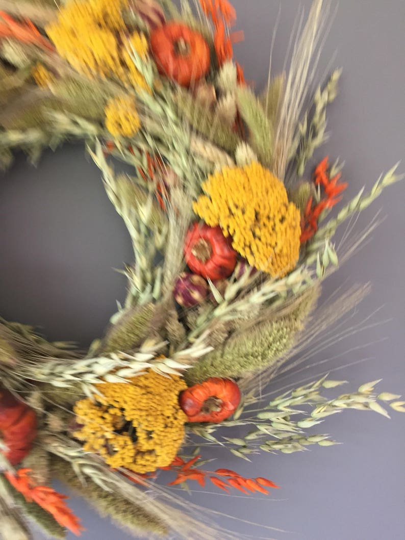 Dried flower wreath, Autumn flower wall decor, pumpkin wreath, kitchen wreath, fall wreath, Autumnal house decor image 2