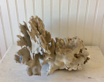 NEW TARANA SOLID CORAL main image 1