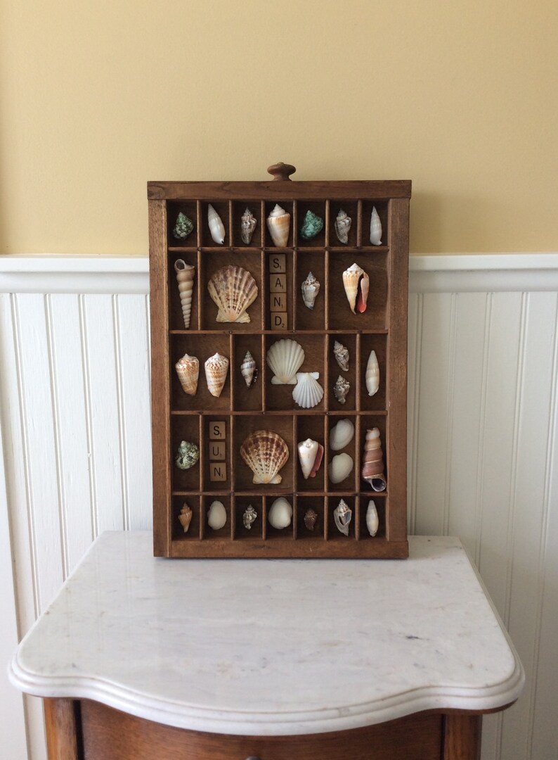Vintage Printers Drawer With Seashells Seashell Art Seashell Etsy