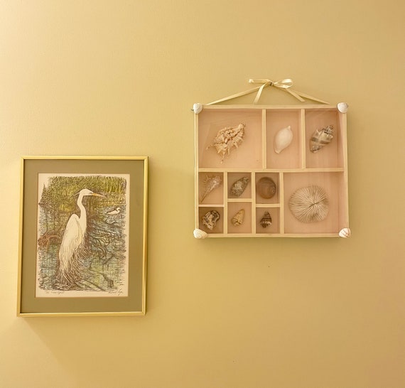 Vintage Shadow Box W/seashells, Wall Decor, Seashell Display Case