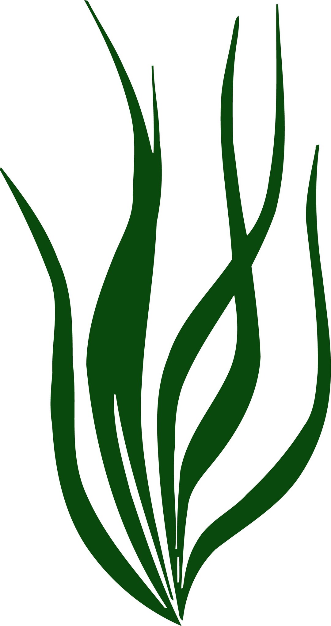 Wall Decals Sea Ocean Marine Life Seaweed Decal Vinyl Sticker Bathroom