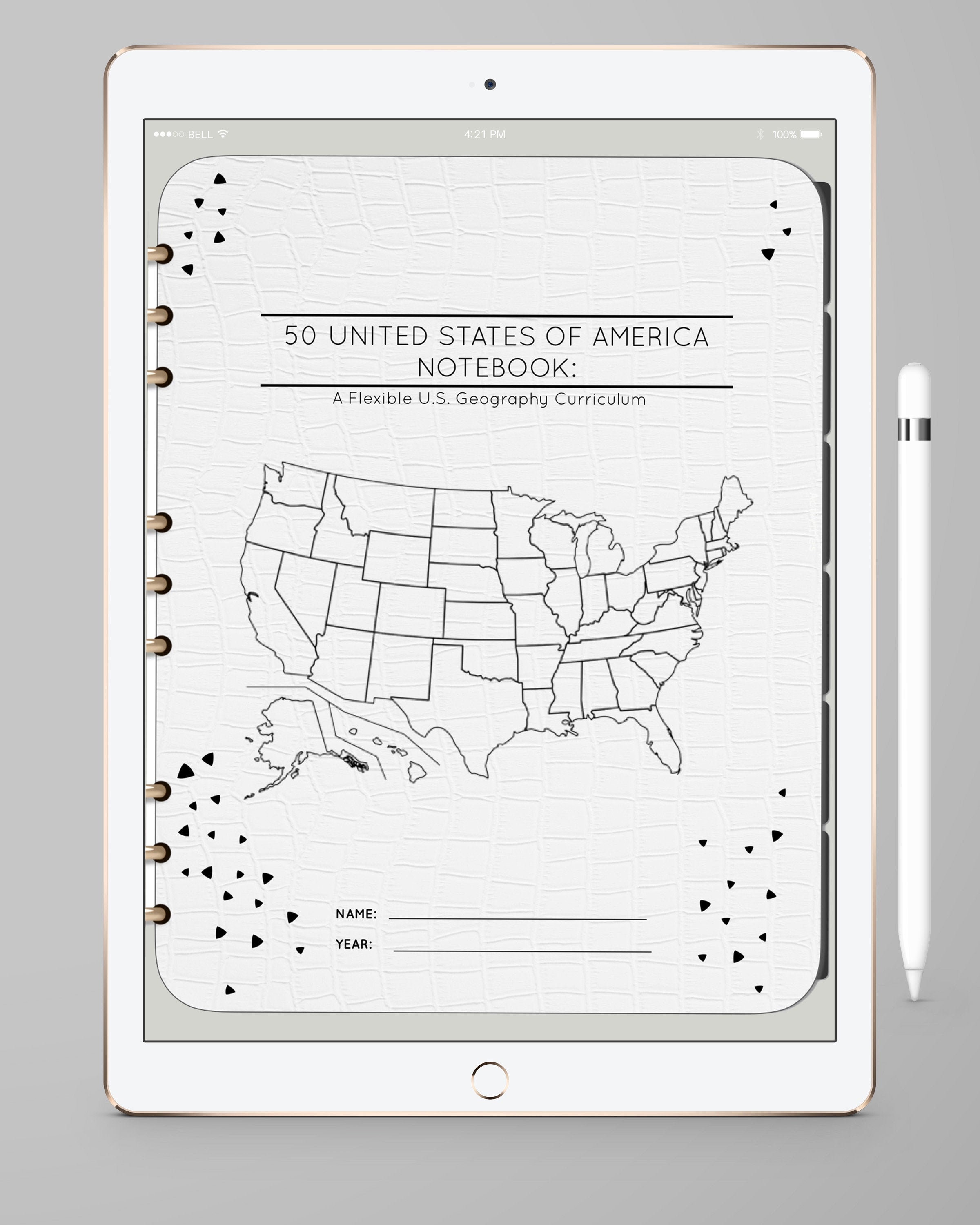 50 United States Geography Curriculum Notebook Digital or Print