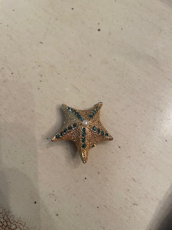 Sea Star/Star Fish Brooch