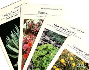 Vintage Plant Cards. Vintage Flower Cards. Vintage Ephemera. Junk Journal Paper. Journal Supplies. Vintage Garden Paper. Flower Ephemera.