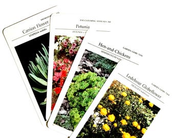 Vintage Plant And Flower Cards - Garden Ephemera, Junk Journal
