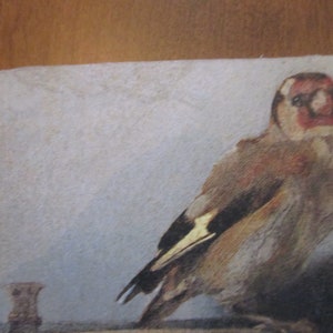 Jeu de cartes Bird