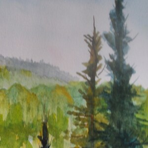 Dark pine and spruce trees project into the sky, to create distance between them and the aspen covered mountain.