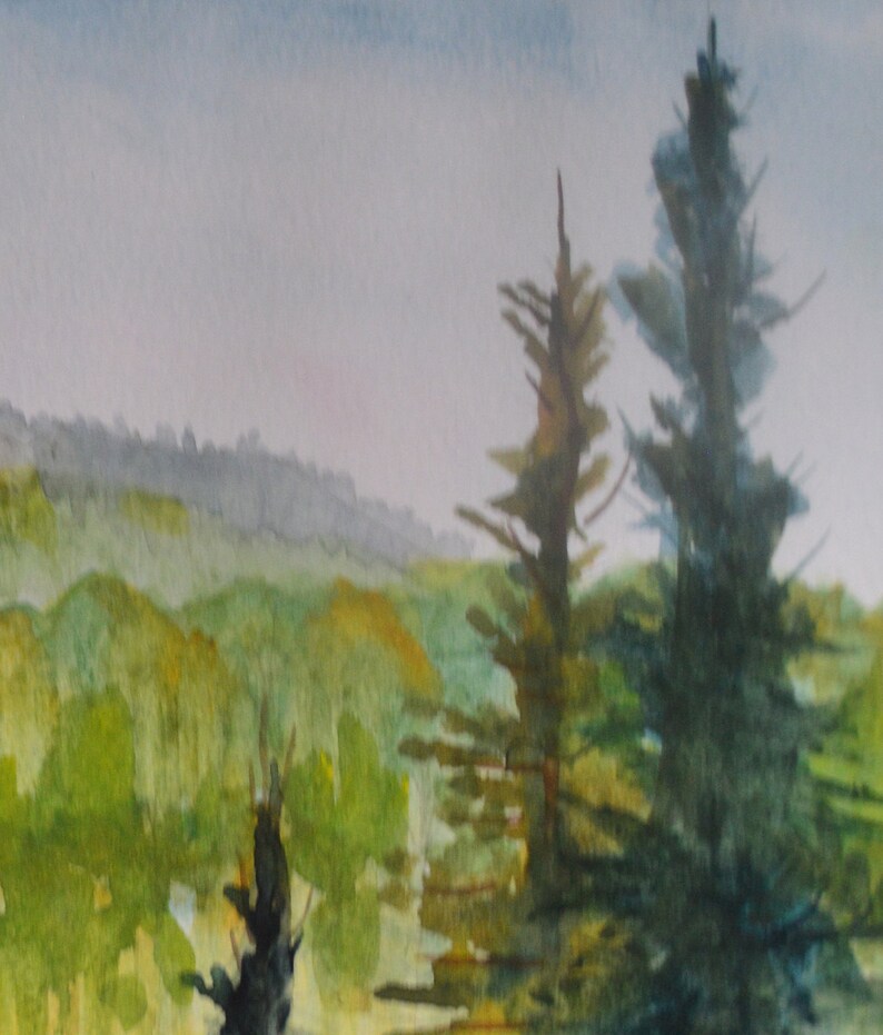 Dark pine and spruce trees project into the sky, to create distance between them and the aspen covered mountain.