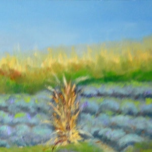 Puede incluir: Una pintura de un campo de lavanda con un solo tallo de hierba seca en primer plano. El cielo es de un azul claro y el campo es de un morado suave.