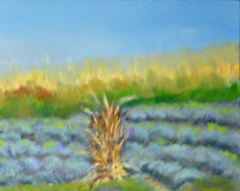 Puede incluir: Una pintura de un campo de lavanda con un solo tallo de hierba seca en primer plano. El cielo es de un azul claro y el campo es de un morado suave.