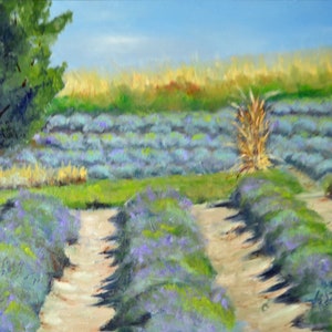 This oil painting was painted from lavender fields on Orchard Mesa, in Colorado.
In the foreground rows of lavender grow north and south. Then in the middle ground the lavender row run east and west. Leaving an interesting design pattern.