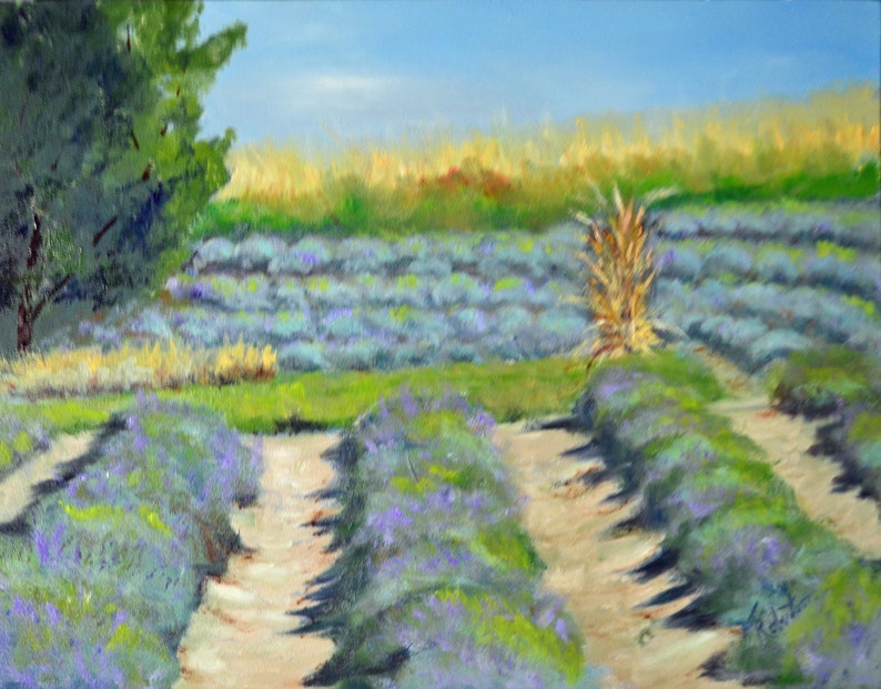 This oil painting was painted from lavender fields on Orchard Mesa, in Colorado.
In the foreground rows of lavender grow north and south. Then in the middle ground the lavender row run east and west. Leaving an interesting design pattern.
