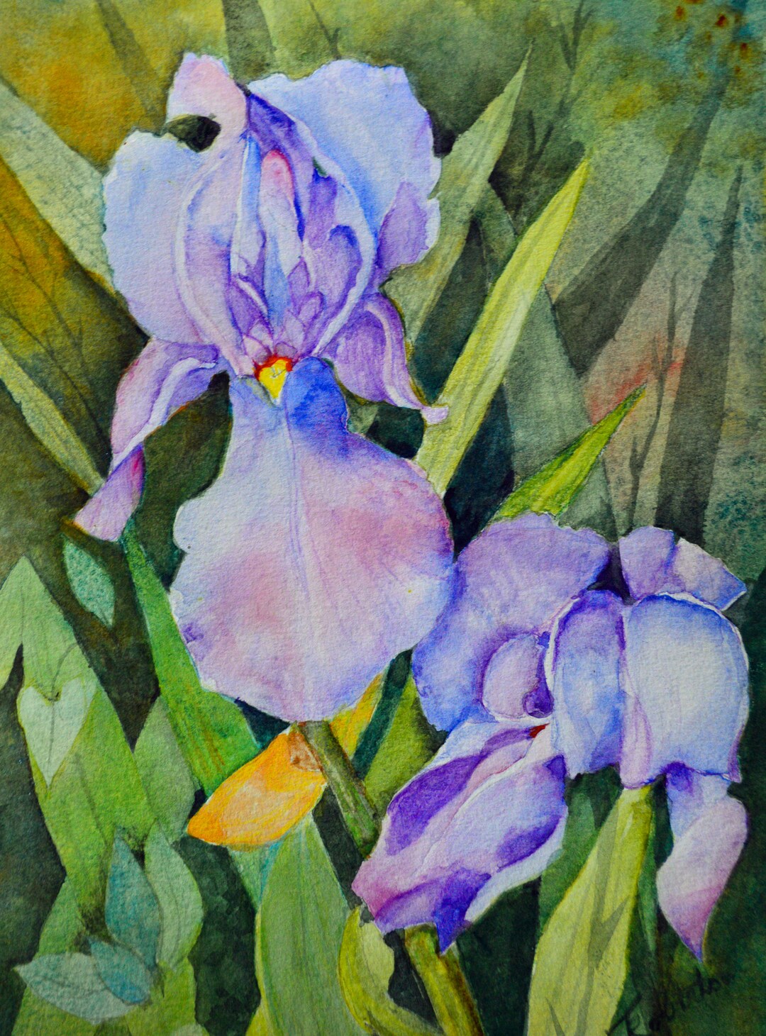 Blue Violet, Original Floral Watercolor, Lavender Iris Bloom, Fine Art ...