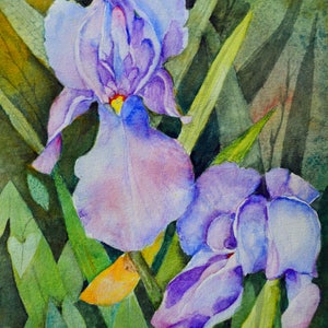 Blue violet, original floral watercolor, lavender iris bloom, fine art, flower portrait, watercolor iris floral, Terri Robertson, 9&quot;x12&quot;