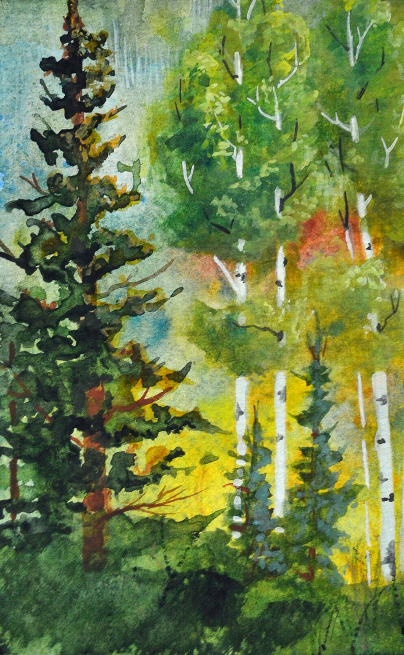 Fine Art Watercolor Original Colorado Art Routt National Etsy