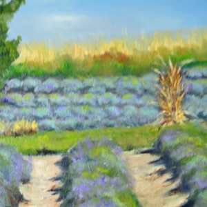 Puede incluir: Una pintura de un campo de lavanda con un camino de tierra que atraviesa el centro. El campo es de un morado vibrante con hierba verde y algunos &aacute;rboles en el fondo.