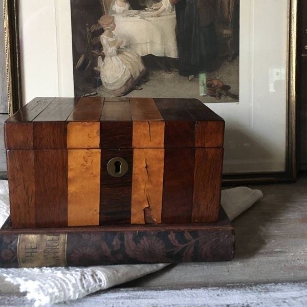 Antique English Rosewood and Maple Tea Caddy